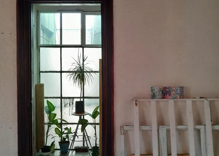 En Casa Rustica En Colonia Roma Norte Homestay