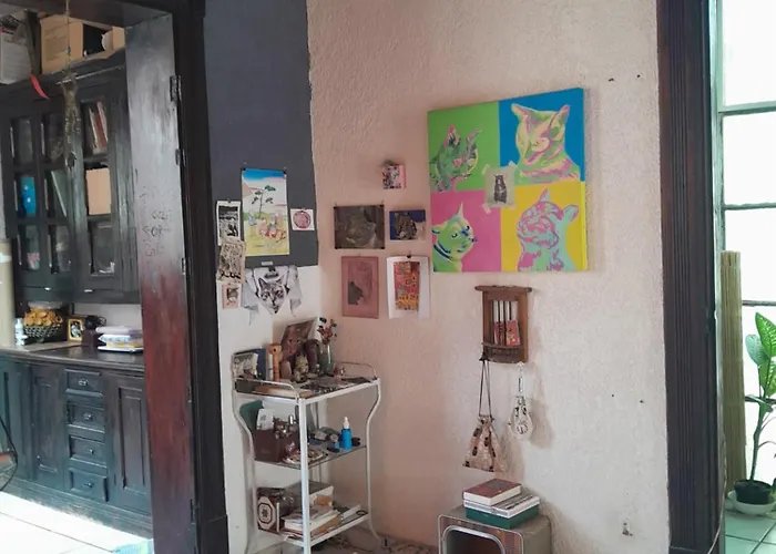 Homestay En Casa Rustica En Colonia Roma Norte